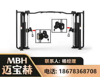 济源大飞鸟训练器