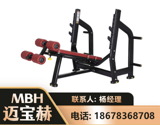 济源豪华下斜卧推架